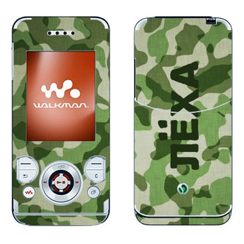 Sony Ericsson W580