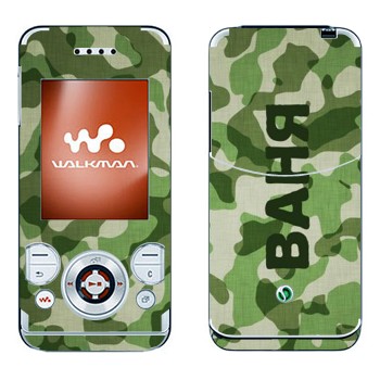 Sony Ericsson W580