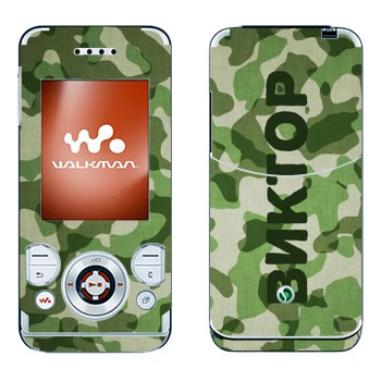 Sony Ericsson W580