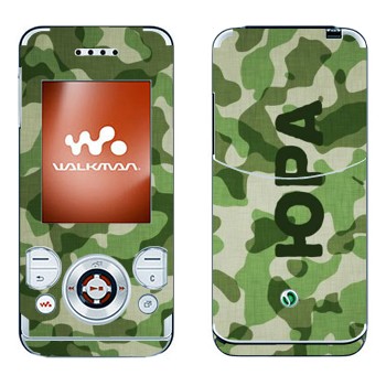 Sony Ericsson W580