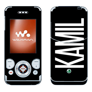 Sony Ericsson W580