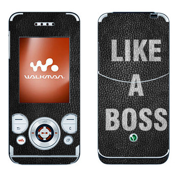 Sony Ericsson W580