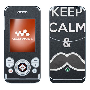 Sony Ericsson W580