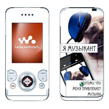 Sony Ericsson W580