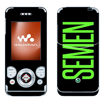 Sony Ericsson W580