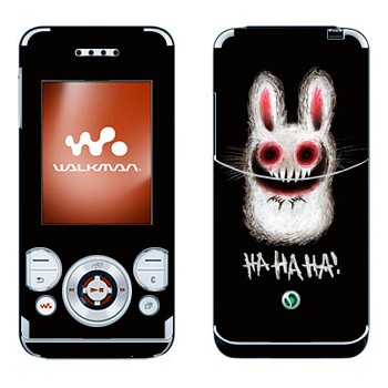 Sony Ericsson W580