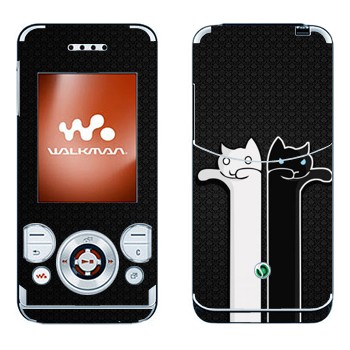 Sony Ericsson W580