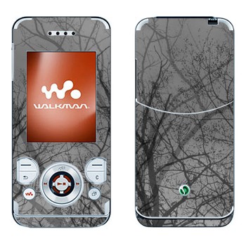 Sony Ericsson W580