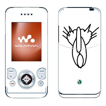 Sony Ericsson W580