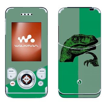 Sony Ericsson W580