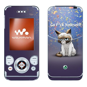 Sony Ericsson W580