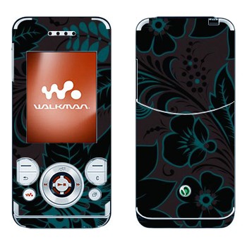 Sony Ericsson W580