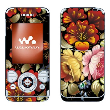 Sony Ericsson W580