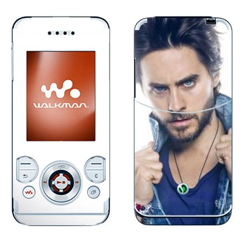 Sony Ericsson W580