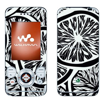   «- »   Sony Ericsson W580