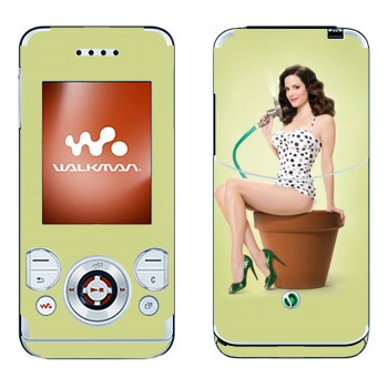 Sony Ericsson W580