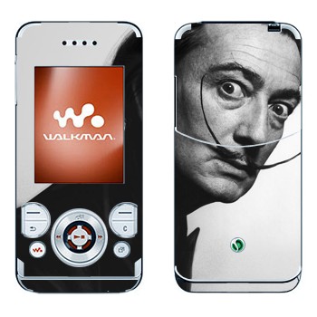 Sony Ericsson W580