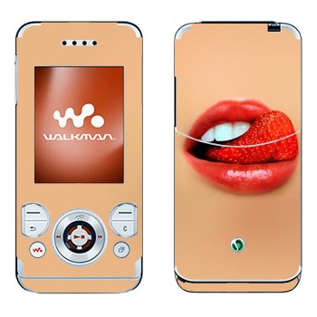 Sony Ericsson W580