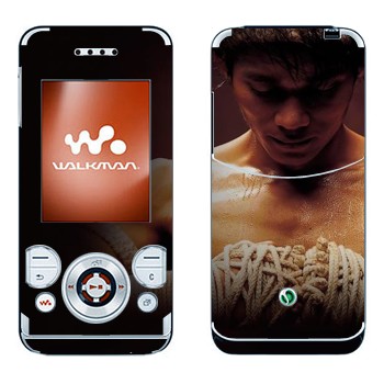   «  »   Sony Ericsson W580