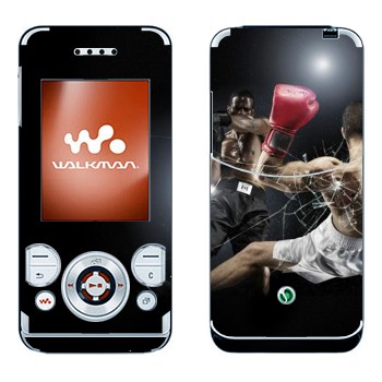 Sony Ericsson W580