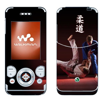 Sony Ericsson W580