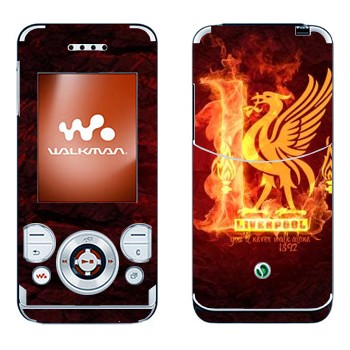 Sony Ericsson W580