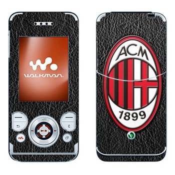 Sony Ericsson W580