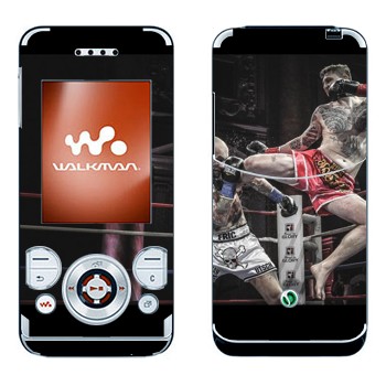 Sony Ericsson W580