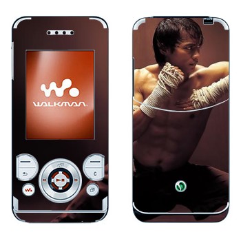   «  -  »   Sony Ericsson W580