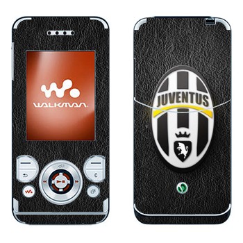 Sony Ericsson W580