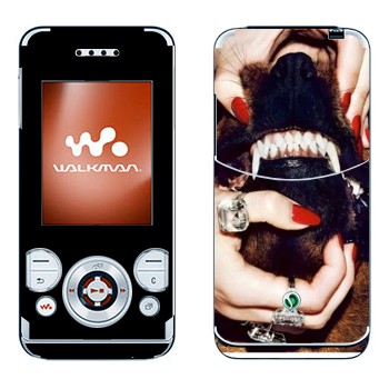   «Givenchy  »   Sony Ericsson W580