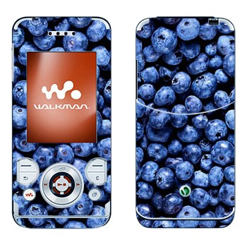 Sony Ericsson W580