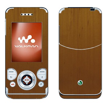 Sony Ericsson W580