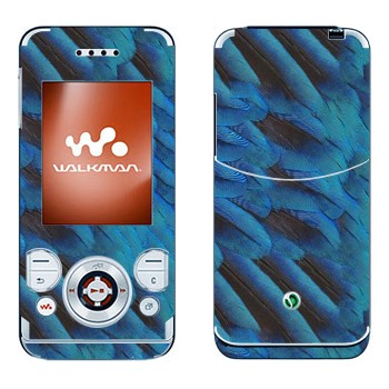 Sony Ericsson W580