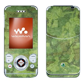 Sony Ericsson W580