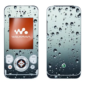 Sony Ericsson W580