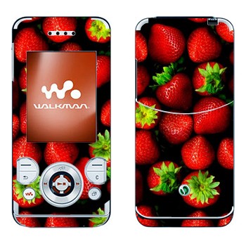   « »   Sony Ericsson W580