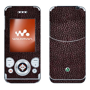 Sony Ericsson W580