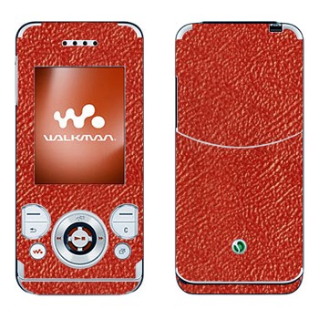 Sony Ericsson W580