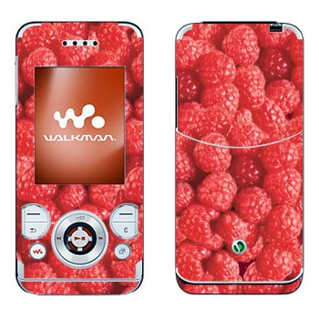 Sony Ericsson W580