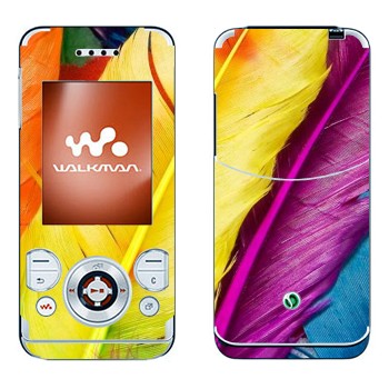 Sony Ericsson W580