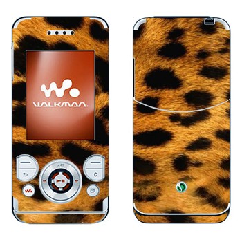 Sony Ericsson W580