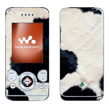 Sony Ericsson W580