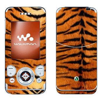   « »   Sony Ericsson W580