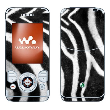 Sony Ericsson W580