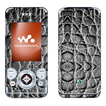   «  »   Sony Ericsson W580