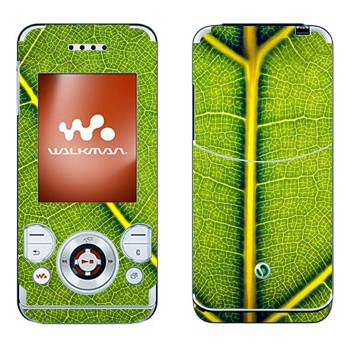   « »   Sony Ericsson W580