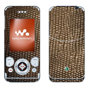 Sony Ericsson W580