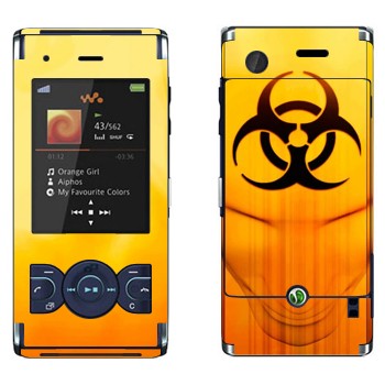   «  »   Sony Ericsson W595