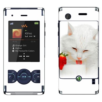 Sony Ericsson W595